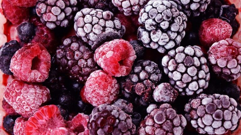 Fruit berries placed in a blast chiller