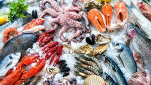 Optimal selection of a fish fridge for your seafood business