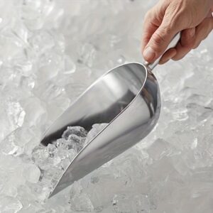 Ice scoop